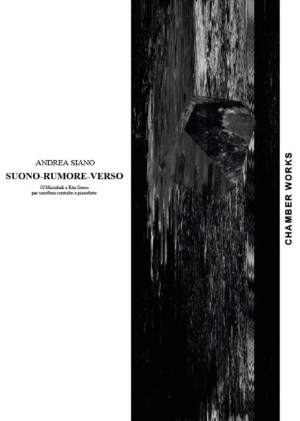 Suono-rumore-verso