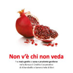 Non v'è chi non veda