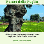 Ulivi secolari - Fututro della Puglia