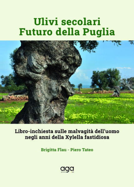 Ulivi secolari - Fututro della Puglia
