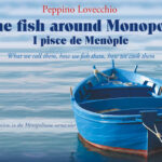 The fish around Monopoli
