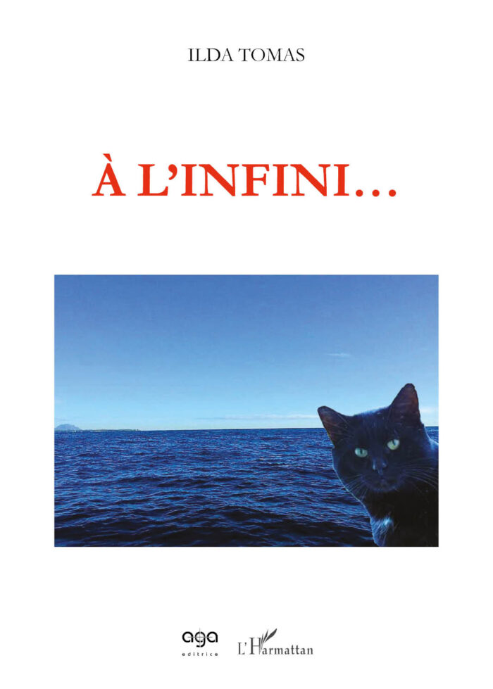 363 43 - À linfini