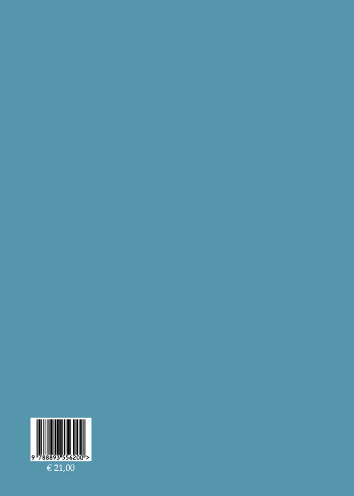 Chiesa Santa Maria la Greca - immagine 2